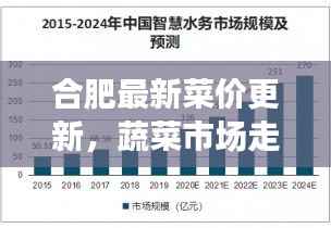 合肥最新菜价更新,蔬菜市场走势揭秘与影响因素深度剖析