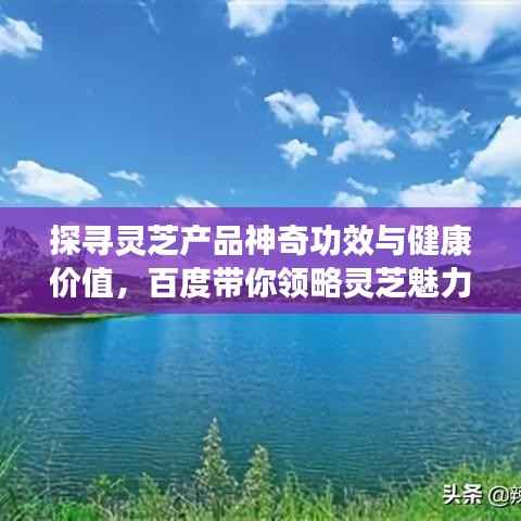 探寻灵芝产品神奇功效与健康价值,百度带你领略灵芝魅力!