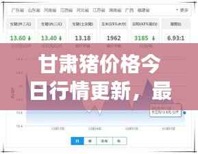 甘肃猪价格今日行情更新,最新市场动态一网打尽!