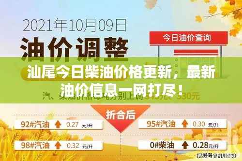 汕尾今日柴油价格更新,最新油价信息一网打尽!