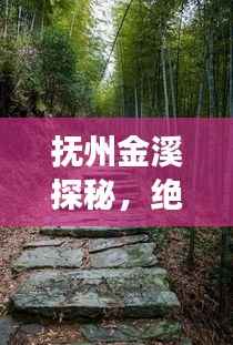 箪瓢陋室 第3页