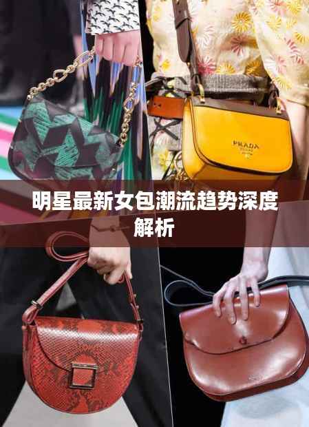 明星最新女包潮流趋势深度解析