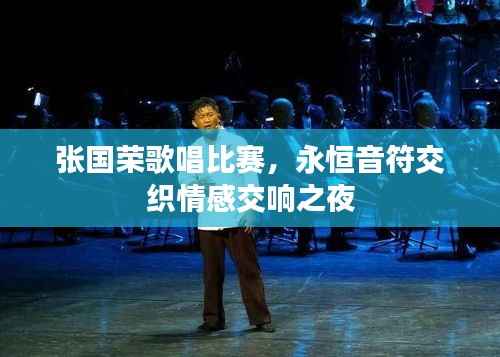 张国荣歌唱比赛,永恒音符交织情感交响之夜