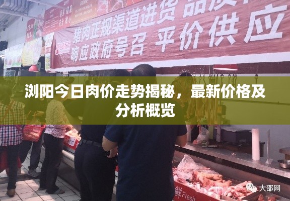 浏阳今日肉价走势揭秘,最新价格及分析概览
