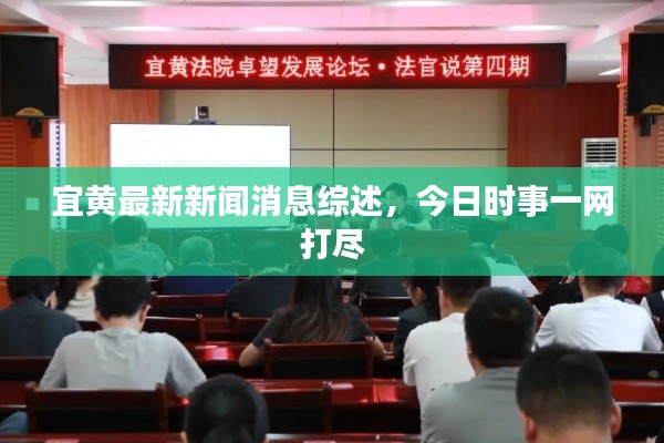 宜黄最新新闻消息综述,今日时事一网打尽