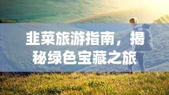 韭菜旅游指南,揭秘绿色宝藏之旅