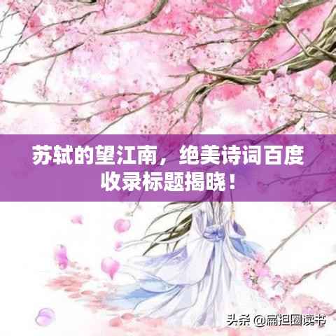 望其项背 第3页