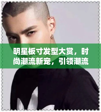 明星板寸发型大赏,时尚潮流新宠,引领潮流风向标