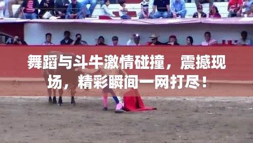 舞蹈与斗牛激情碰撞,震撼现场,精彩瞬间一网打尽!