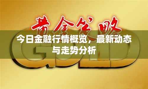 今日金融行情概览,最新动态与走势分析