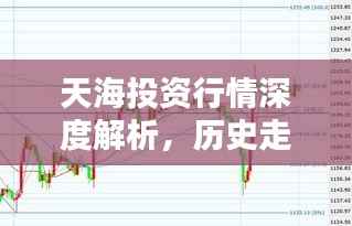 天海投资行情深度解析,历史走势揭示未来趋势