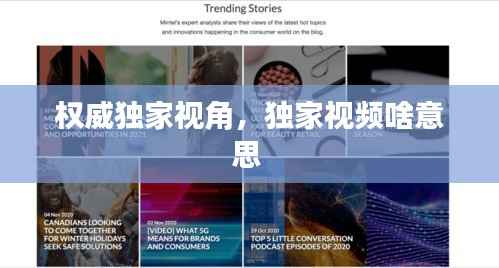 权威独家视角,独家视频啥意思