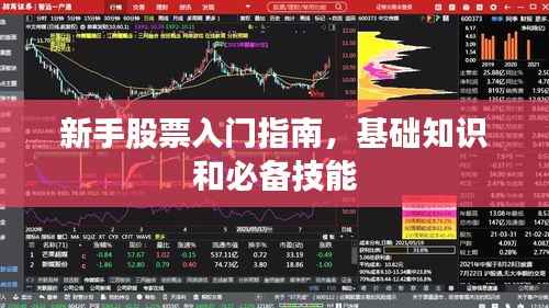 新手股票入门指南,基础知识和必备技能