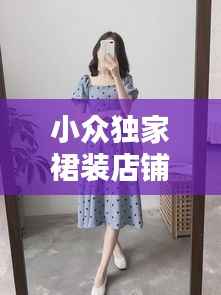 小众独家裙装店铺,裙装品牌