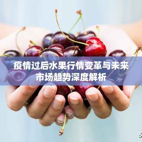 疫情过后水果行情变革与未来市场趋势深度解析