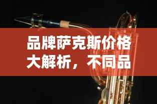 品牌萨克斯价格大解析,不同品牌萨克斯的价值与价格对比!