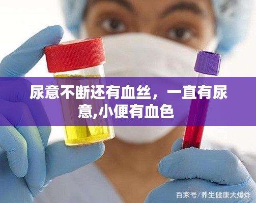 尿意不断还有血丝,一直有尿意,小便有血色