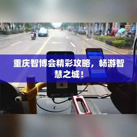 重庆智博会精彩攻略,畅游智慧之城!