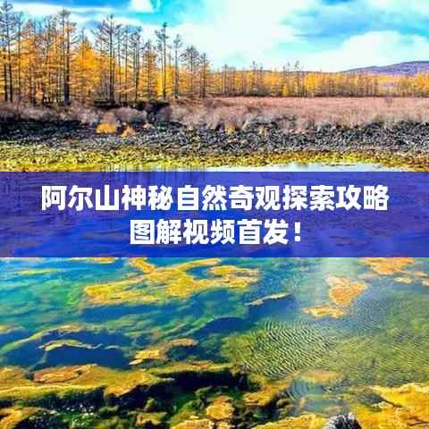 展翅欲飞 第3页