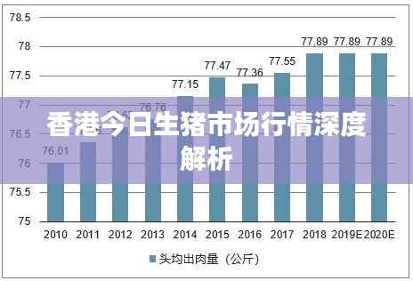 香港今日生猪市场行情深度解析