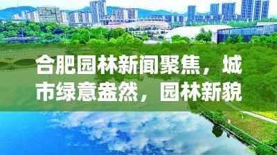 合肥园林新闻聚焦,城市绿意盎然,园林新貌展现风采
