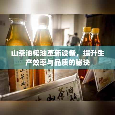 山茶油榨油革新设备,提升生产效率与品质的秘诀