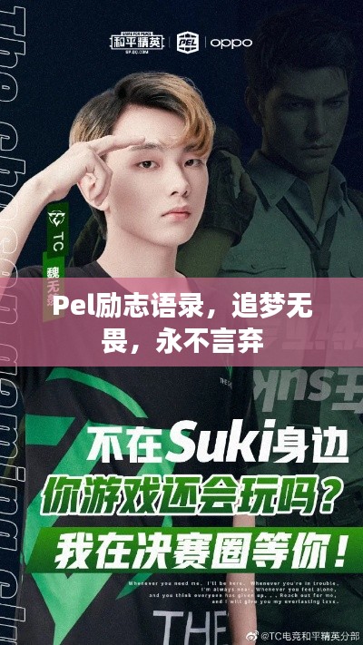 Pel励志语录,追梦无畏,永不言弃