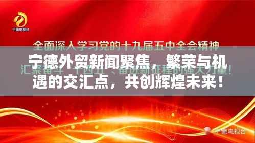 宁德外贸新闻聚焦,繁荣与机遇的交汇点,共创辉煌未来!