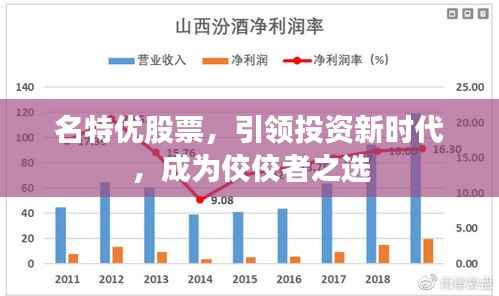 名特优股票,引领投资新时代,成为佼佼者之选
