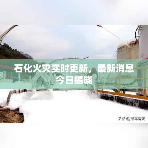 石化火灾实时更新,最新消息今日揭晓