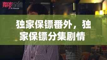 独家保镖番外,独家保镖分集剧情