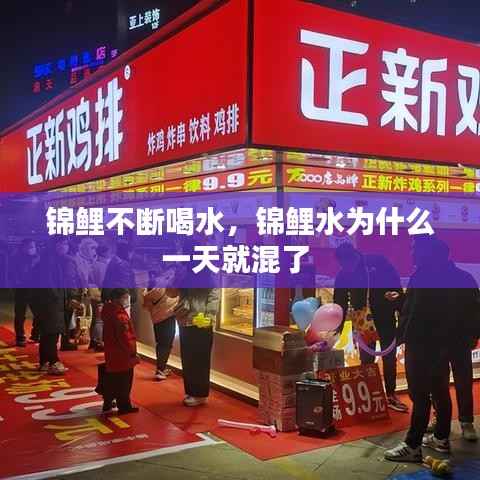 锦鲤不断喝水,锦鲤水为什么一天就混了