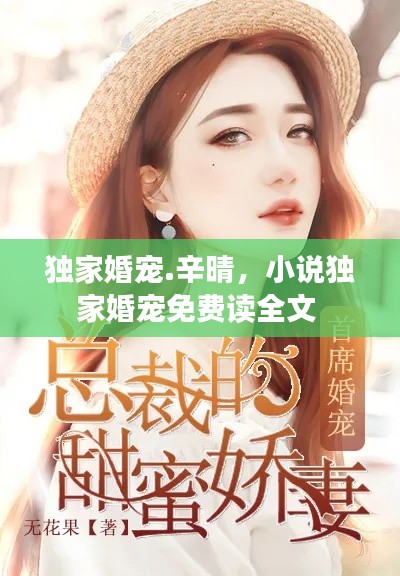 独家婚宠.辛晴,小说独家婚宠免费读全文