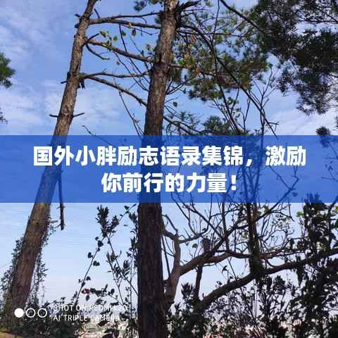 国外小胖励志语录集锦,激励你前行的力量!