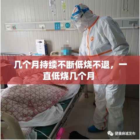 几个月持续不断低烧不退,一直低烧几个月