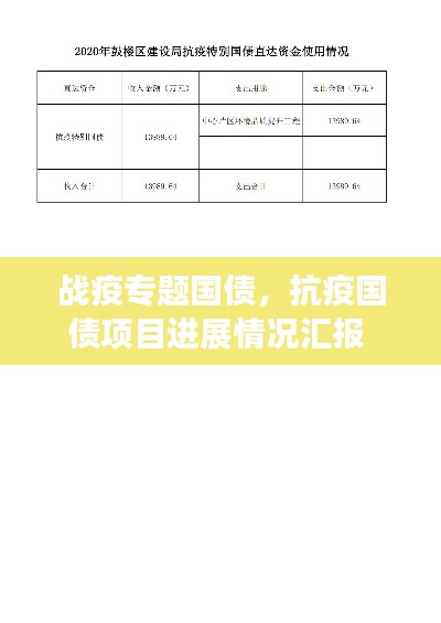 战疫专题国债,抗疫国债项目进展情况汇报