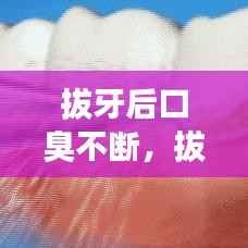 放浪形骸 第2页