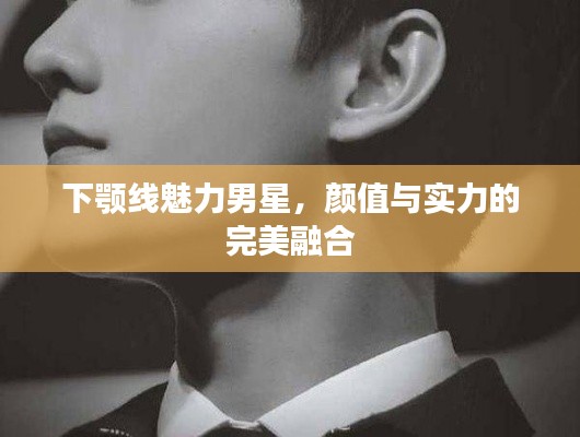 下颚线魅力男星,颜值与实力的完美融合