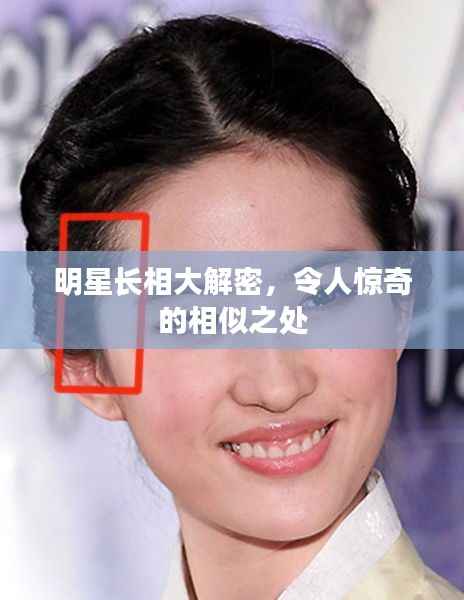 明星长相大解密,令人惊奇的相似之处