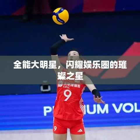 全能大明星,闪耀娱乐圈的璀璨之星