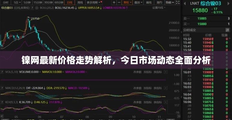 镍网最新价格走势解析,今日市场动态全面分析