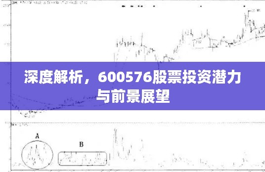 深度解析，600576股票投资潜力与前景展望