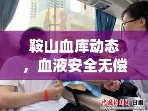 鞍山血库动态，血液安全无偿献血事业备受关注