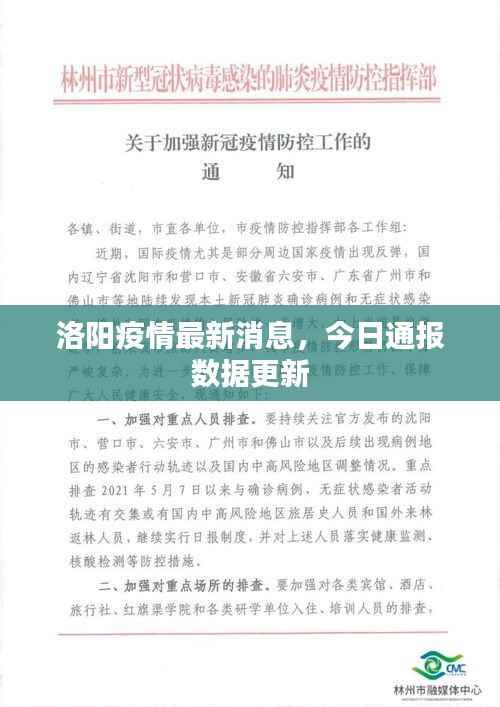 洛阳疫情最新消息,今日通报数据更新
