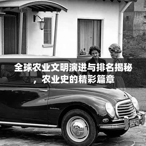 张皇铺饰 第2页