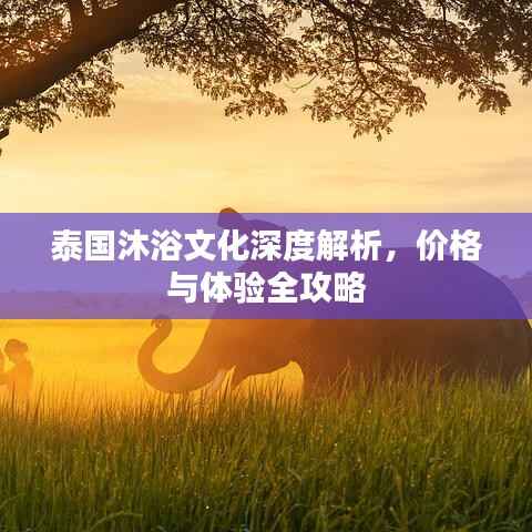 泰国沐浴文化深度解析,价格与体验全攻略