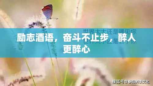 励志酒语,奋斗不止步,醉人更醉心
