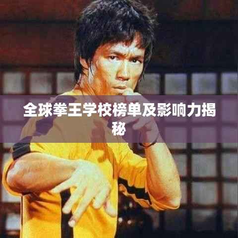 全球拳王学校榜单及影响力揭秘