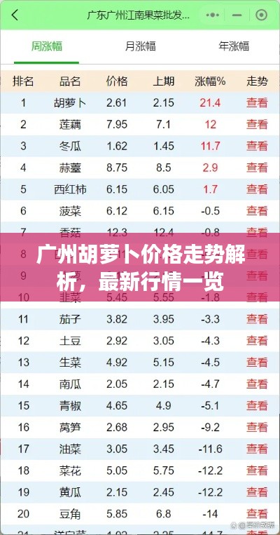 广州胡萝卜价格走势解析,最新行情一览