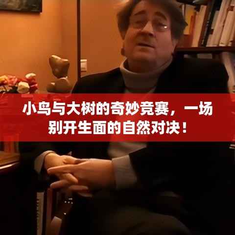 小鸟与大树的奇妙竞赛,一场别开生面的自然对决!